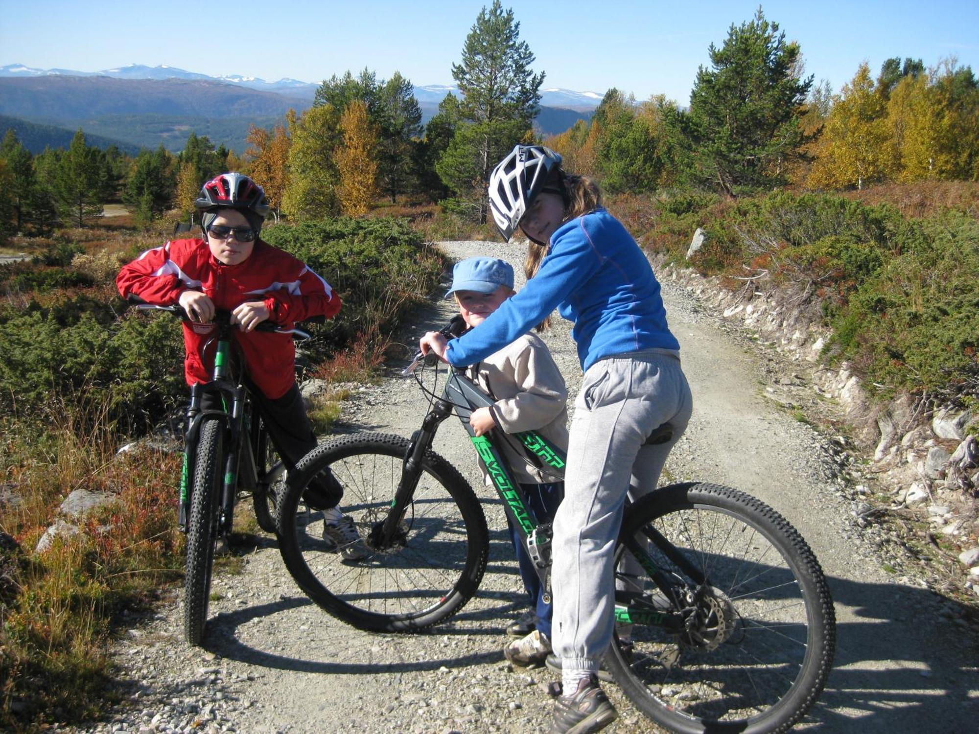 Putten Seter Høvringen Buitenkant foto