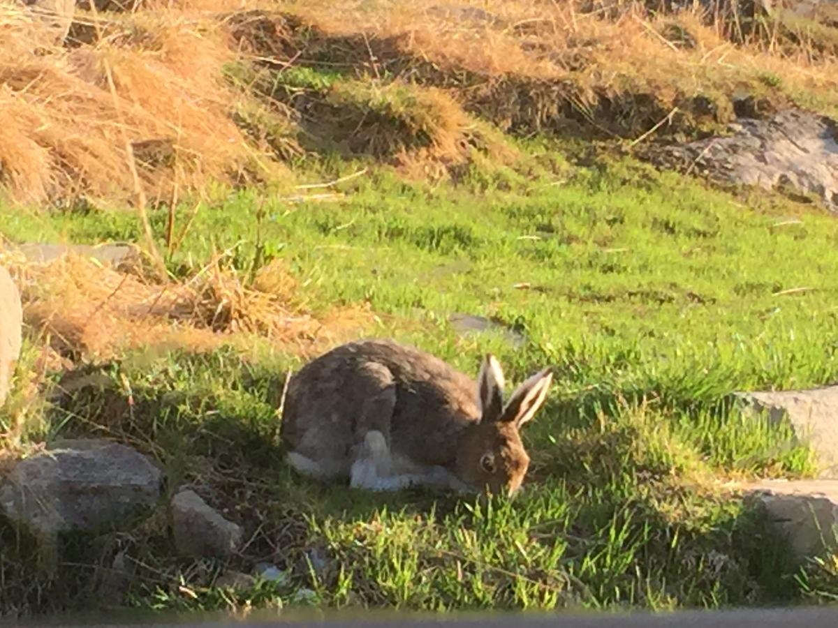 Putten Seter Høvringen Buitenkant foto