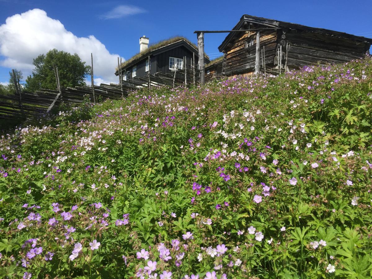 Putten Seter Høvringen Buitenkant foto